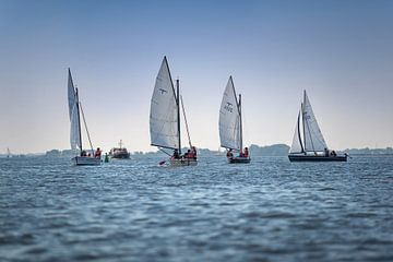 Segelboote auf dem Wasser ( Friesland - Friesische Seen ) von Chihong