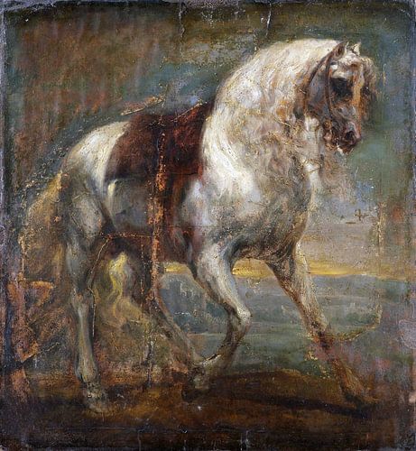 Een paard, schimmel, Antoon van Dyck, 1641