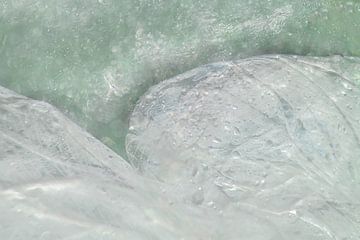 Pétales de fleurs en glace