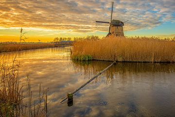 Molen bij Rustenburg van Jan Siebring