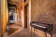 Hallway in an Abandoned Castle. by Roman Robroek thumbnail