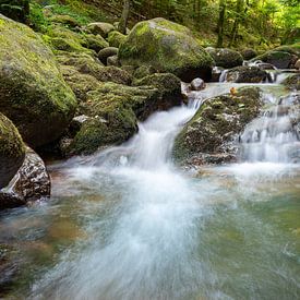 The stream by Hannes Cmarits