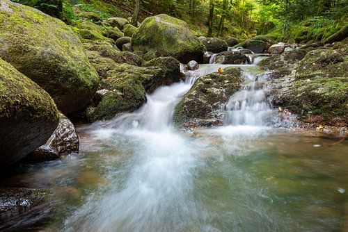 Le flux sur Hannes Cmarits