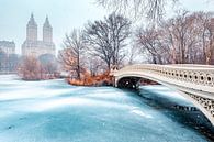 Boogbrug in de winter, Central Park, New York van Sascha Kilmer thumbnail