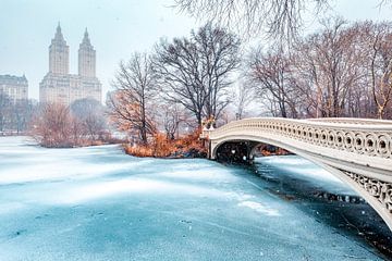 Boogbrug in de winter, Central Park, New York van Sascha Kilmer