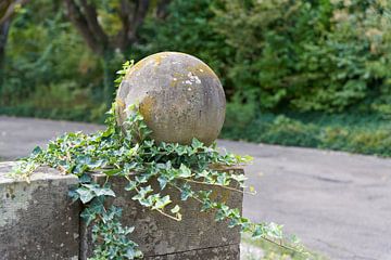 Ivy-overdekte zuil met bal als decoratie in het park