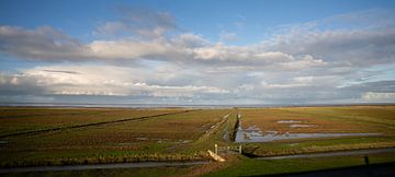 Panorama marshes of the Wadden coast of Groningen