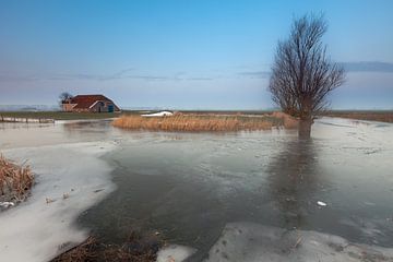 Winter at Harssensbosch sur Ron Buist