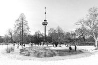 Winter in Het Park bij de Euromast in Rotterdam van MS Fotografie | Marc van der Stelt thumbnail