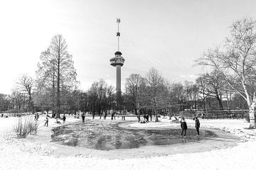 L'hiver dans le parc près de l'Euromast à Rotterdam