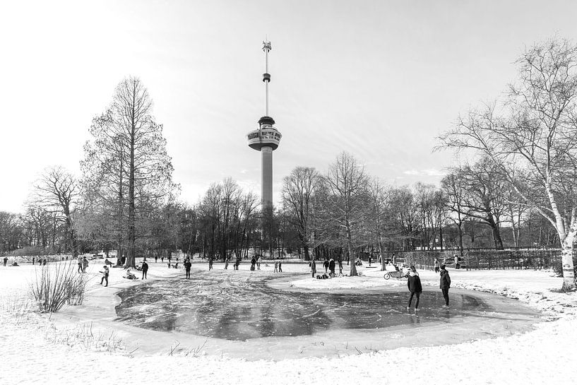 L'hiver dans le parc près de l'Euromast à Rotterdam par MS Fotografie | Marc van der Stelt