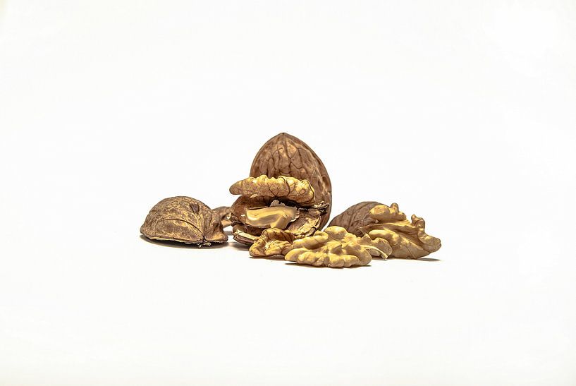 Walnuts by Norbert Sülzner