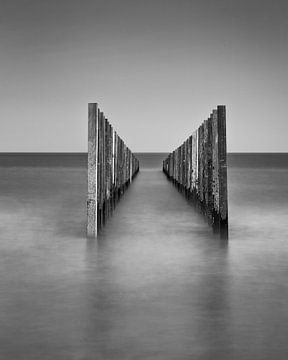 Standing Strong I sur Frank Hoogeboom