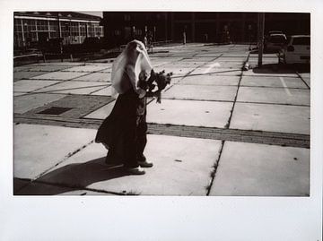 Beauty is everywhere