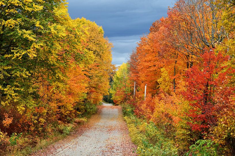 A country road in autumn by Claude Laprise