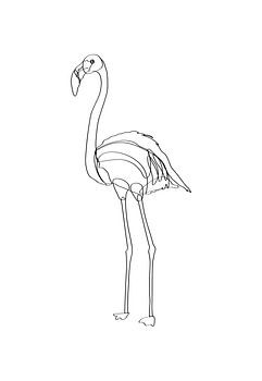 Dessin au trait Flamant
