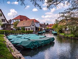 keine Kahnfahrten im Spreewald von Animaflora PicsStock