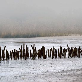 Im Winter am Fluß von Andreas Wemmje