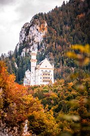 Neuschwanstein Castle by Inge Jansen