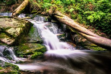 Harz Wasser glow von Tim Lee Williams