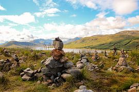 mannetjes von Tineke Roosen
