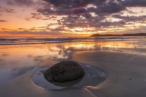 Moeraki Boulders at sunrise, New Zealand