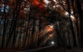 Ein Lichtschein van Em We