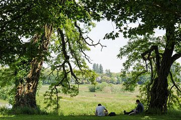 view of the creek valley