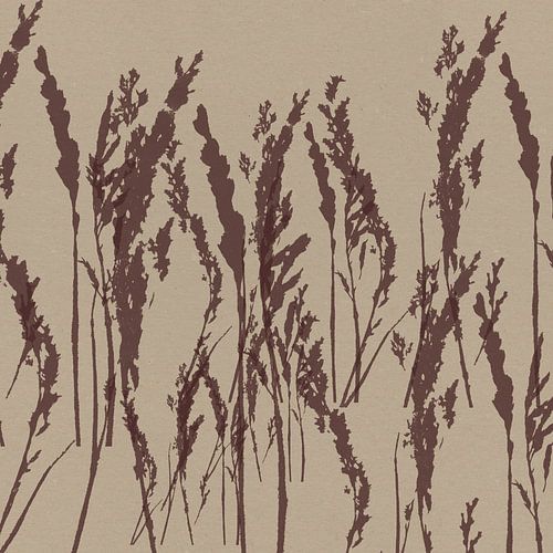 Gras in bruin op beige. Moderne botanische kunst.