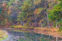 Herfst op Heidestein
