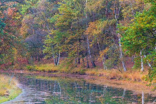 Herbst auf Heidestein
