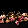 Getrocknete Rosen in einer Reihe von Ton de Koning