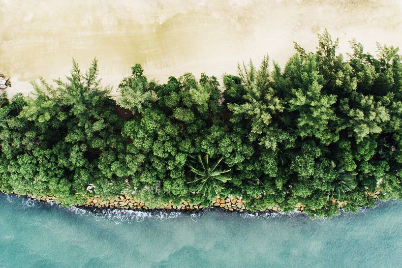 Blick auf den Strand aus der Vogelperspektive von Walljar