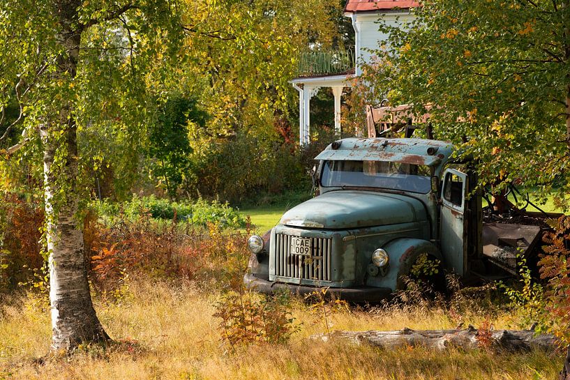 Blühende Pracht Volvo von Harry Punter