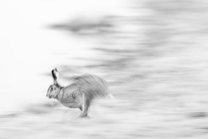 Run to the hills by Ronald Buitendijk Fotografie