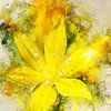 Gelbe Blume von Sharon Harthoorn