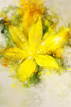 Yellow flower