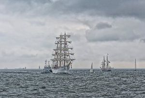 Tall Ships van D. Henriquez