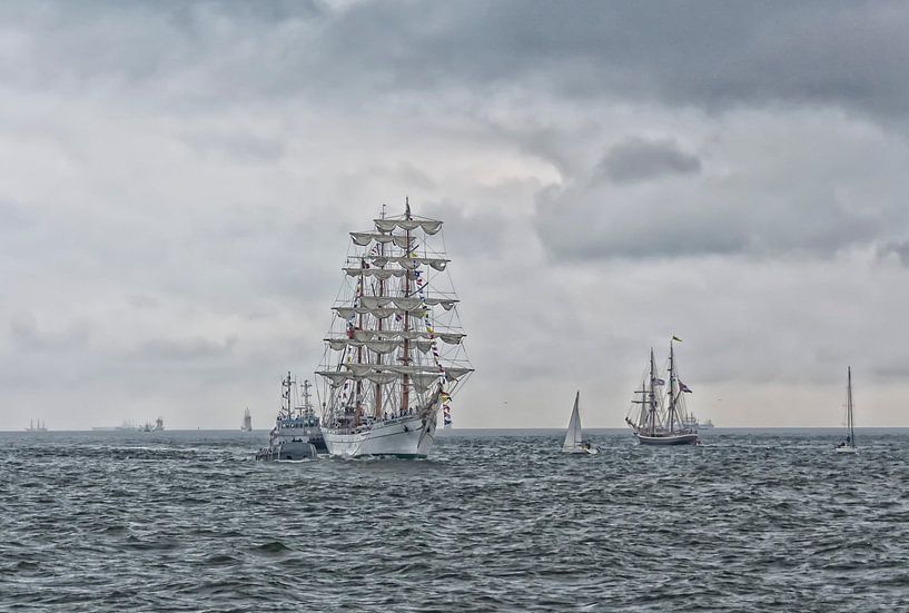 Tall Ships by D. Henriquez