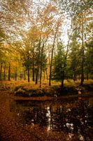 Autumn landscape in Utrecht