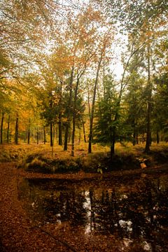 Herfst landschap in Utrecht van Kyra Hoekema