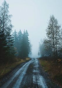 Herbstspaziergang im Nebel