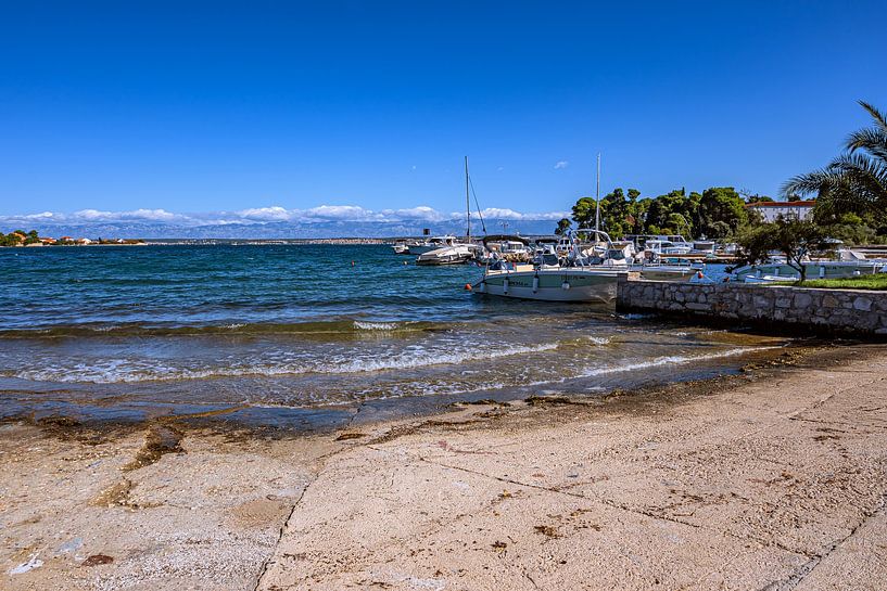 Croatia : Island Ugljan - Preko by Photoart-Naegele