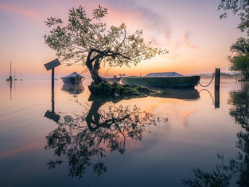 The tree in the lake by calvaine8