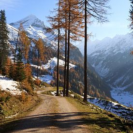 Herbstliche Wanderung in den Bergen von Ginkgo Fotografie