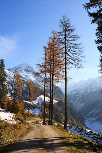 Herfstwandeling in de bergen