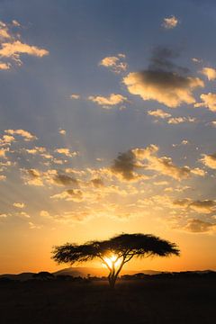African sunset by Thijs Kupers