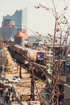 Spring at the Port of Hamburg by Marc Heiligenstein
