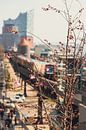 Spring at the Port of Hamburg by Marc Heiligenstein thumbnail