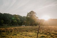 Travel Photography: